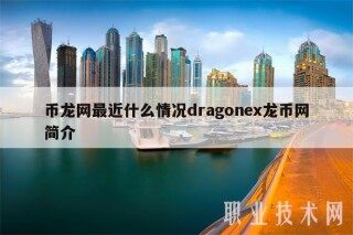 币龙网最近什么情况dragon龙币网简介
