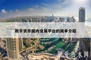 数字货币国内交易平台的简单介绍