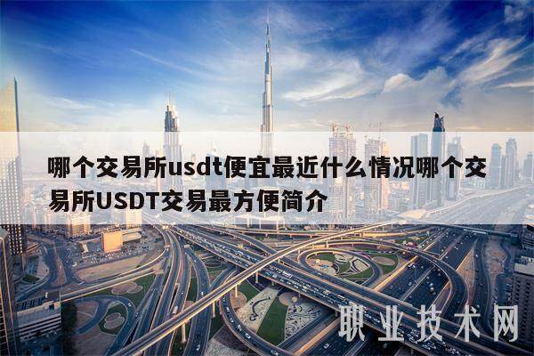 哪个交易平台usdt便宜最近什么情况哪个交易平台USDT交易最方便简介-第1张图片-欧意下载