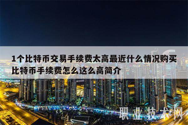 1个比特币交易手续费太高最近什么情况购买比特币手续费怎么这么高简介-第1张图片-欧意下载 1个比特币交易手续费太高最近什么情况购买比特币手续费怎么这么高简介-第1张图片-欧意下载