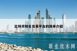 比特币知名交易平台的简单介绍