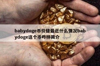 babydog币价格最近什么情况babydog这个币咋样简介