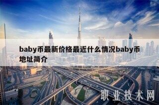 baby币最新价格最近什么情况baby币地址简介