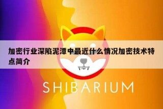 加密行业深陷泥潭中最近什么情况加密技术特点简介