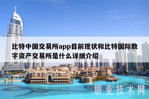 比特中国交易平台app目前现状和比特国际数字资产交易平台是什么详细介绍-第1张图片-欧意下载