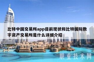 比特中国交易平台app目前现状和比特国际数字资产交易平台是什么详细介绍