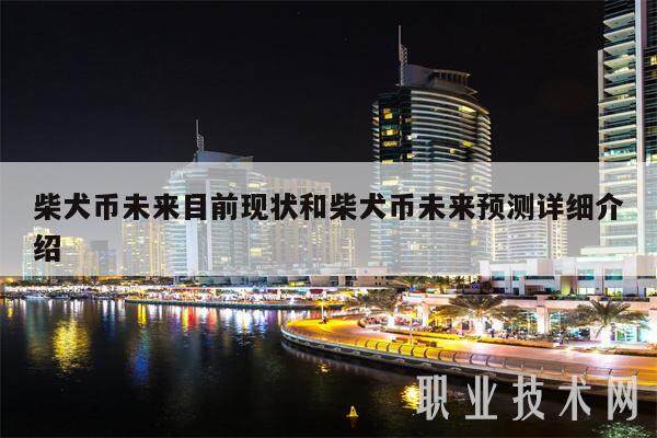 柴犬币未来目前现状和柴犬币未来预测详细介绍-第1张图片-欧意下载 柴犬币未来目前现状和柴犬币未来预测详细介绍-第1张图片-欧意下载