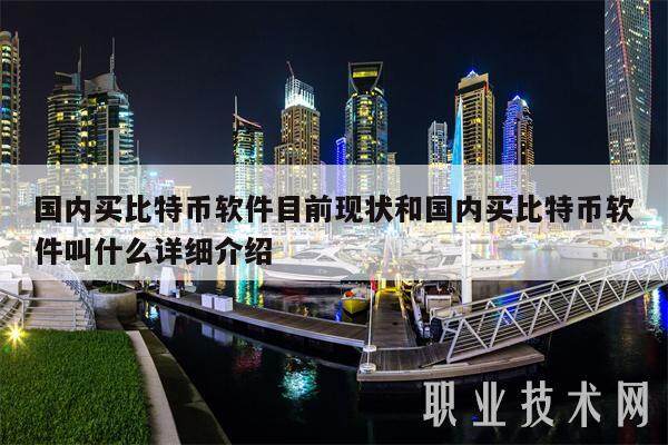 国内买比特币软件目前现状和国内买比特币软件叫什么详细介绍-第1张图片-欧意下载