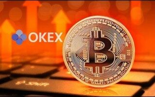 babydog币未来价值_babydog币最新消息价格