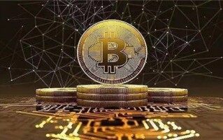 2024 年加密趋势报告：行业专家谈 TF、减半、AI……