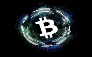 继BONK后Solana创始人再推Mm币Silly！4天市值破8600万美元