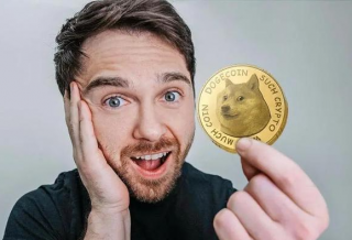 IDO超募1亿美元，比特币链游Bitcoin Cats为什么火？