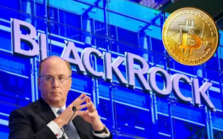 贝莱德向现货比特币TF的种子基金注入千万美元