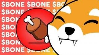 什么是Bon ShibaSwap(BON)币