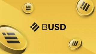 BinancUSD(BUSD)币种介绍