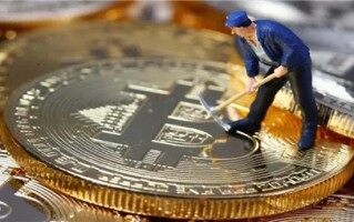 DGO币能涨到多少钱