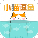 小猫逗鱼 小猫逗鱼