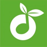 草根音乐 草根音乐