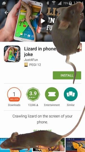 养老鼠app