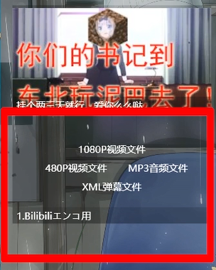 哔哩哔哩截图